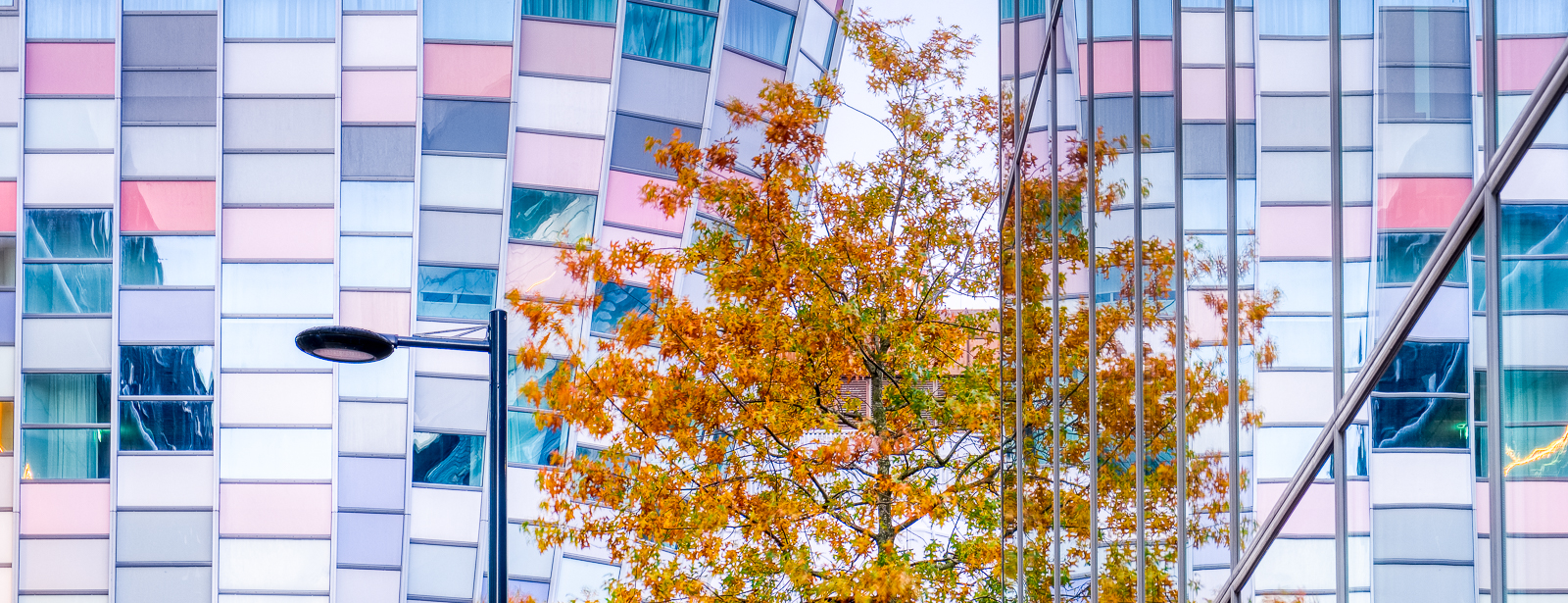 Hoog Catharijne Mall Utrecht