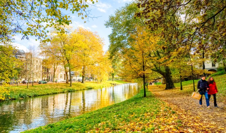 singel in autumn