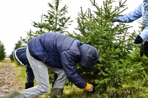 Utrecht verbindt kerstboom