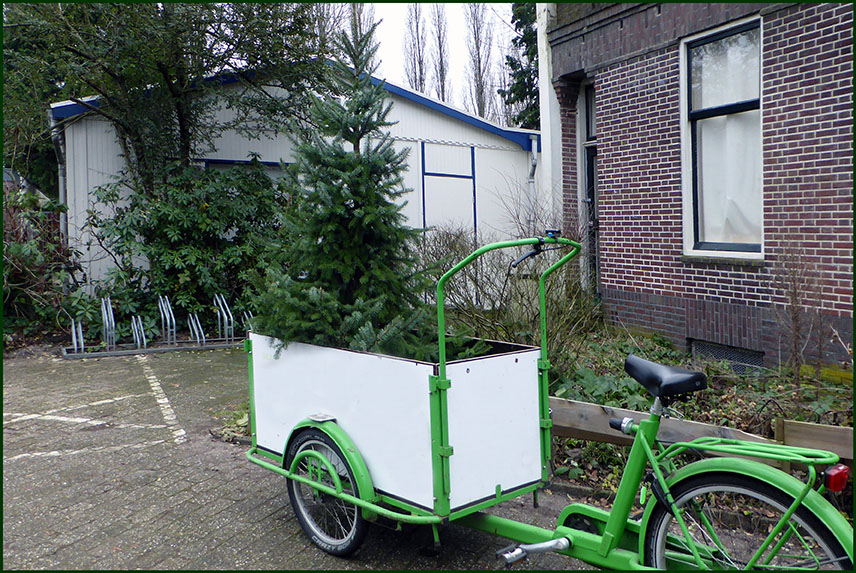 Utrecht verbindt kerstboom