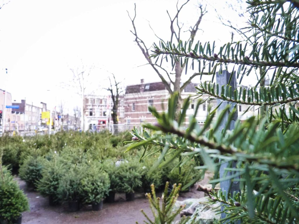 Utrecht verbindt kerstboom