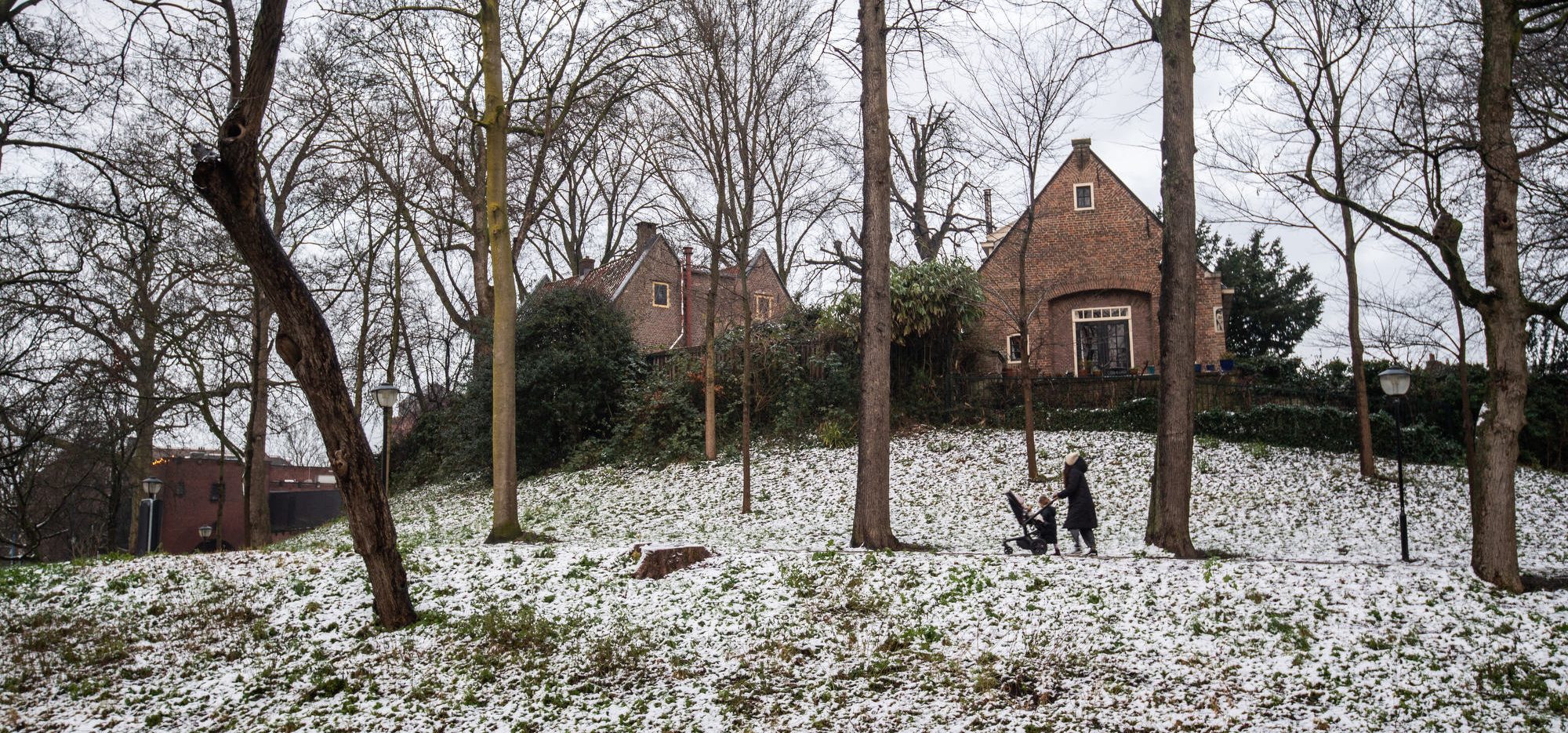 ©Robert Oosterbroek