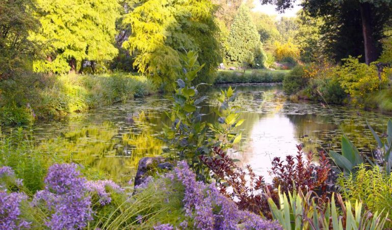 Vijver in de Botanische Tuinen in Utrecht