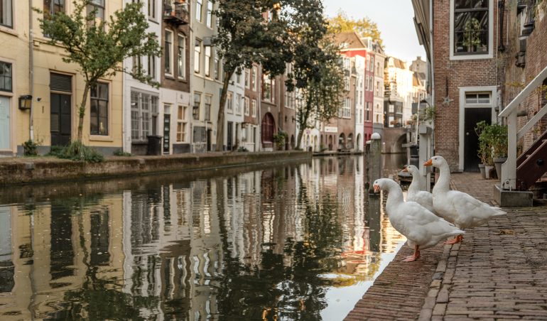 De gracht