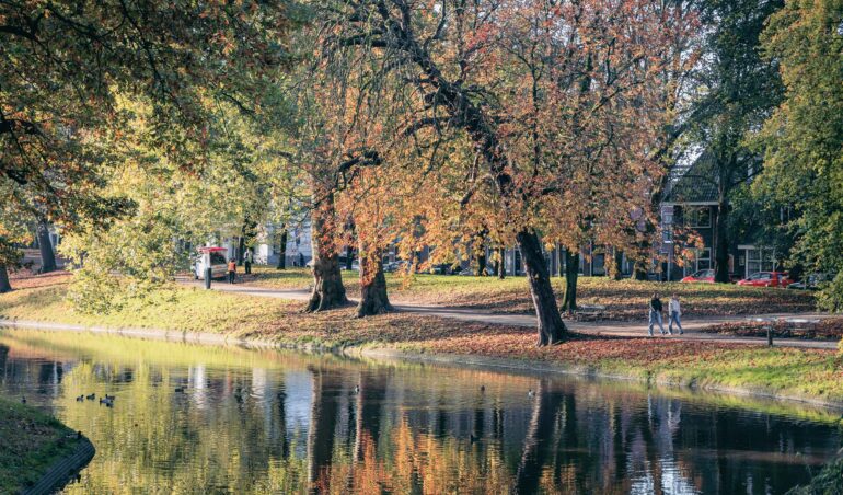 herfstwandeling utrecht